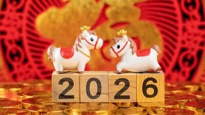 Celebrate with Festive Savings & Gifts — Amazon Canada Lunar New Year Deals