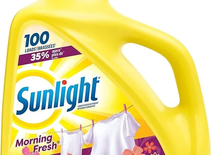 Sunlight Morning Fresh